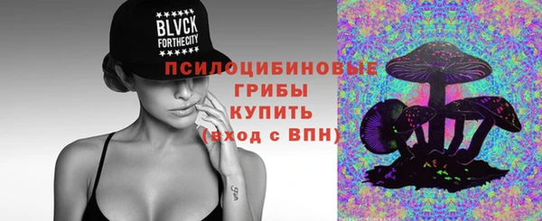 метадон Богородицк