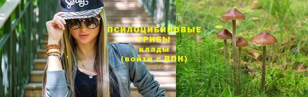 а пвп мука Богданович